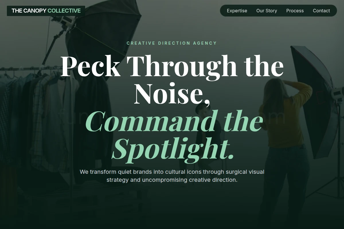 Twig Creative Direction